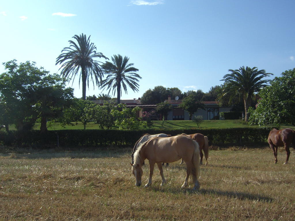 Santa Igia - Country House Elmas Luaran gambar