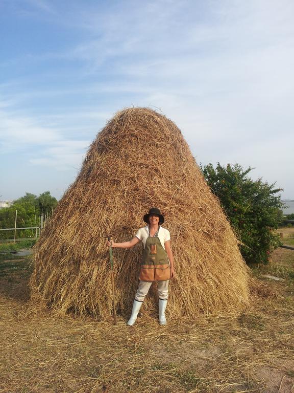 Santa Igia - Country House Elmas Luaran gambar