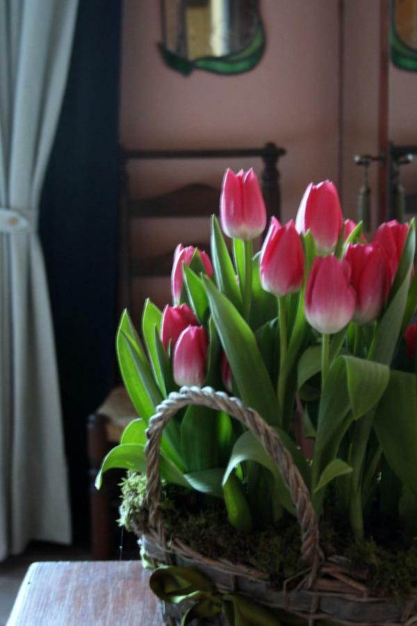 Santa Igia - Country House Elmas Luaran gambar